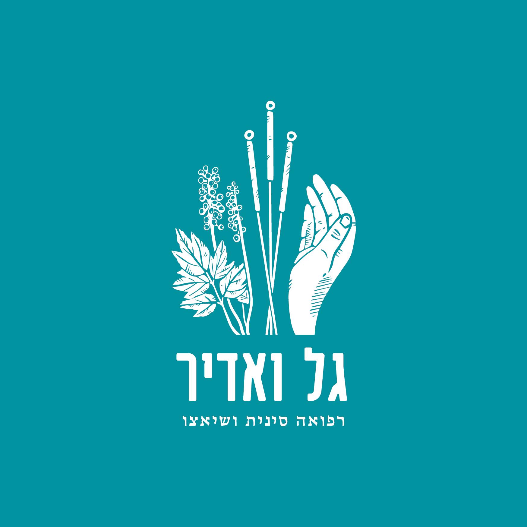 רפואה סינית ברפואה סינית גל ואדיר - רפואה סינית וש